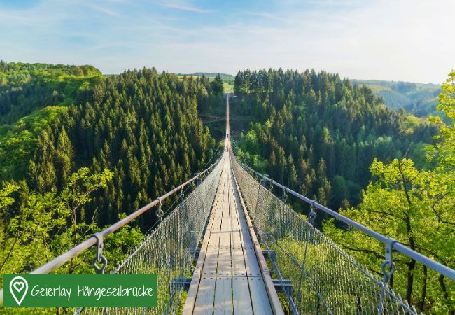 Hängeseilbrücke Geierlay Hängeseilbrücke Geierlay