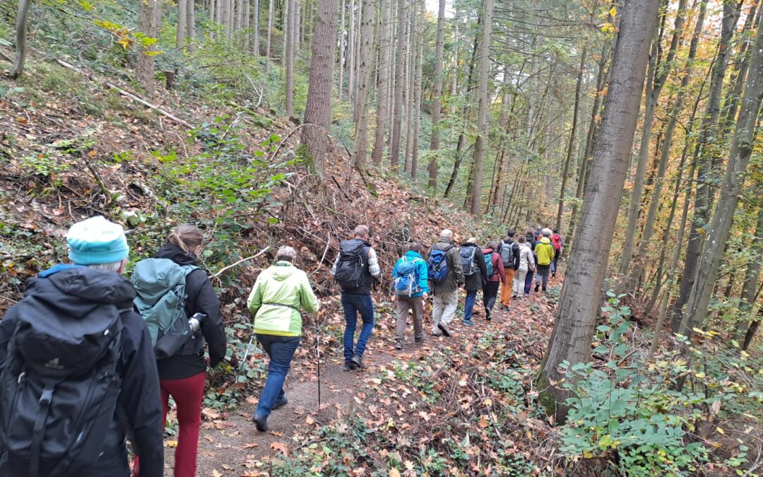 Wanderführer Ausbildung