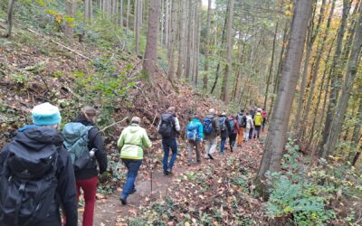 Meine Ausbildung zur Wanderführerin – warum Hunsrückfan genau so entstanden ist